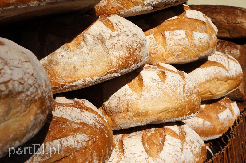 Elbląg, Zasmakuj w Święto Chleba