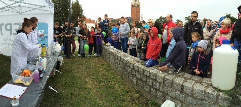 Elbląg, Spalony miś i prawdziwe srebro Elbląg, Spalony miś i prawdziwe srebro