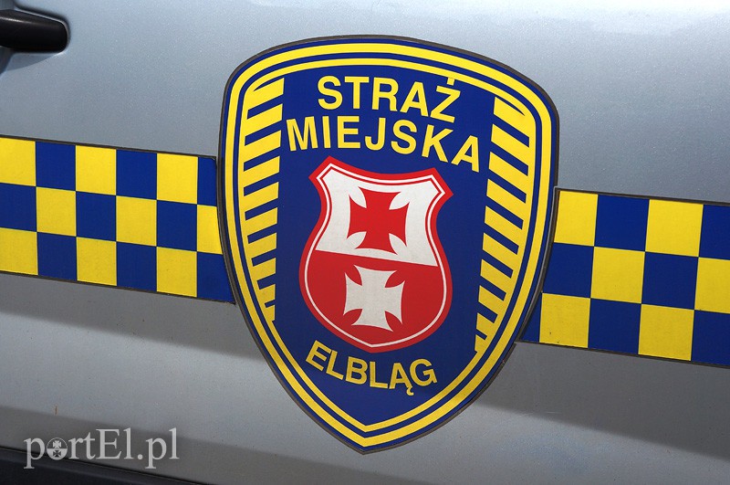 Elbląg, Straż Miejska podczas Święta Chleba Elbląg, Straż Miejska podczas Święta Chleba