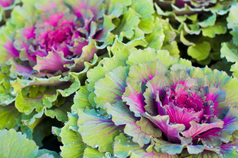 Dbajmy o nie przez cały rok