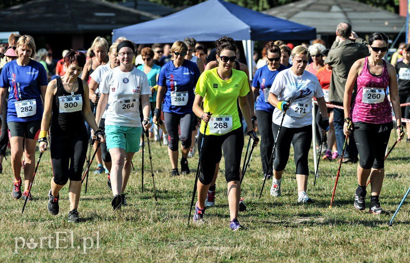 Elbląg, Puchar Europy w Nordic Walking - utrudnienia w ruchu Elbląg, Puchar Europy w Nordic Walking - utrudnienia w ruchu