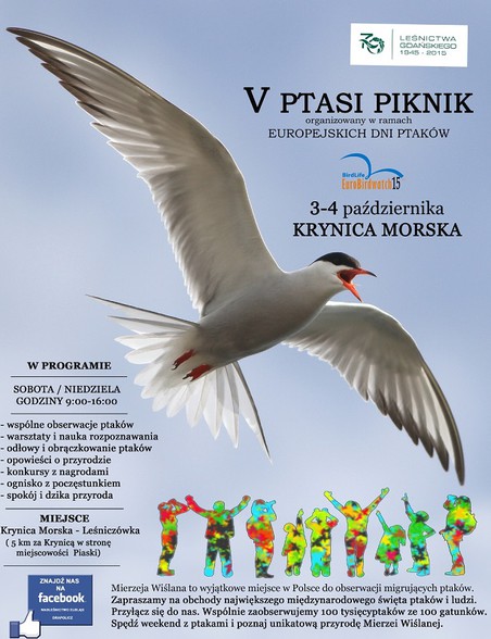 Elbląg, Ptasi Piknik w weekend Elbląg, Ptasi Piknik w weekend