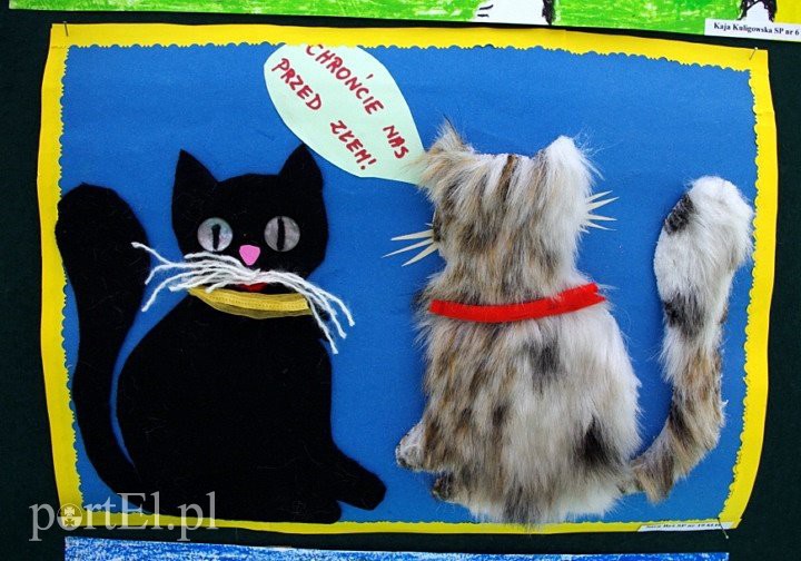 Elbląg, Zdjęcie jest ilustracją do artykułu