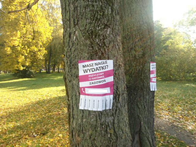 Elbląg, Nielegalne plakatowanie Elbląg, Nielegalne plakatowanie