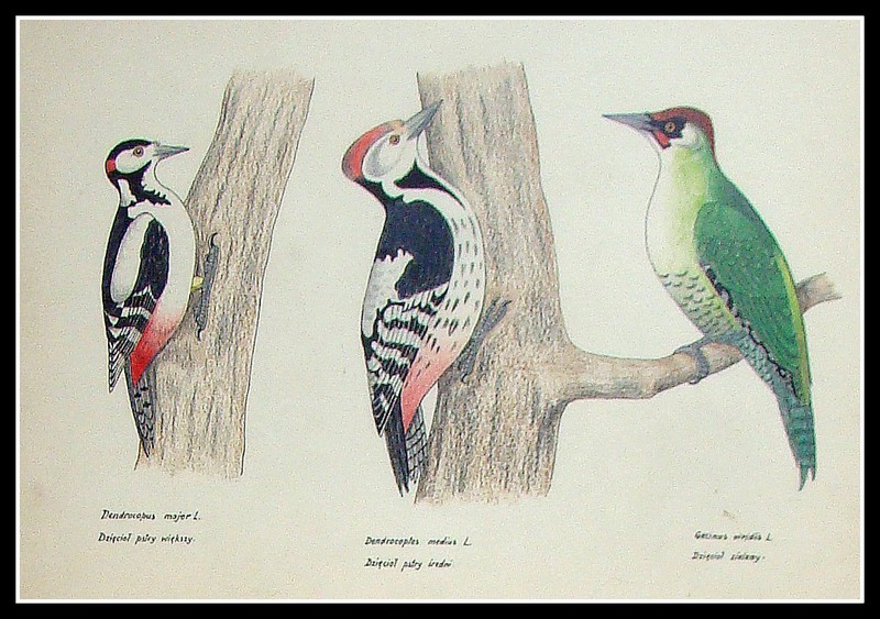 Elbląg, "W świecie ciszy" - wystawa i spotkanie w Filarze Sztuki