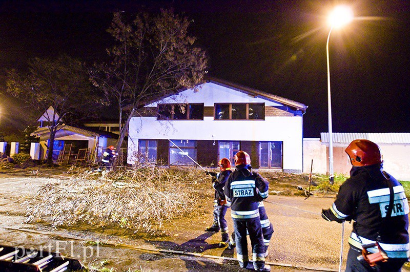 Elbląg, Strażacy ścięli drzewo zagrażające budynkowi przy ul. Mielczarskiego