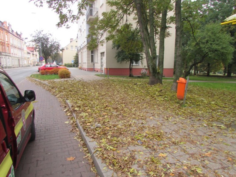 Elbląg, Jesienne liście zniknęły już z chodników Elbląg, Jesienne liście zniknęły już z chodników