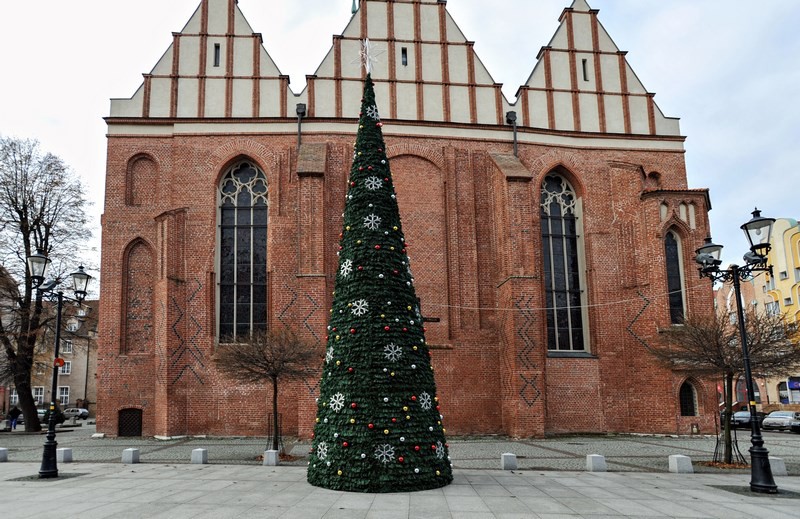 Ta choinka rozbłyśnie już w niedzielę,