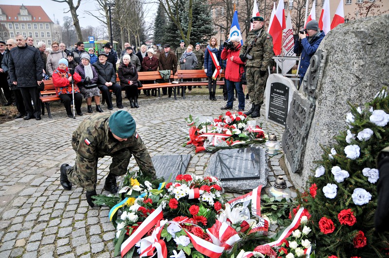 Elbląg, Z miłości do Ojczyzny Elbląg, Z miłości do Ojczyzny