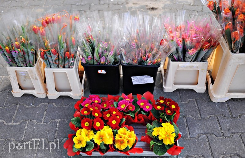 Elbląg, W wielu miejscach Elbląga pojawiły się takie widoki