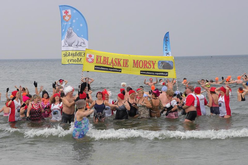 Elbląg, Elbląskie Morsy... zdążyć przed wiosną Elbląg, Elbląskie Morsy... zdążyć przed wiosną