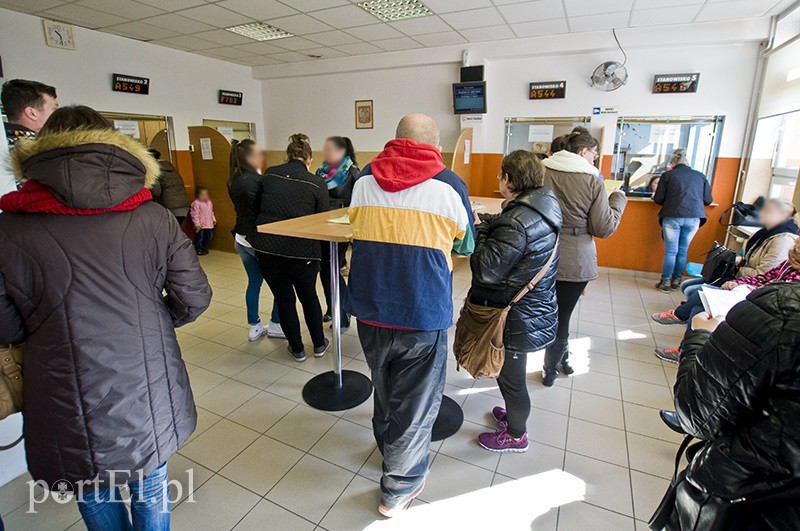 Elbląg, Około godz. 10 w Departamencie Świadczeń Rodzinnych w kolejce czekało około 30 osób