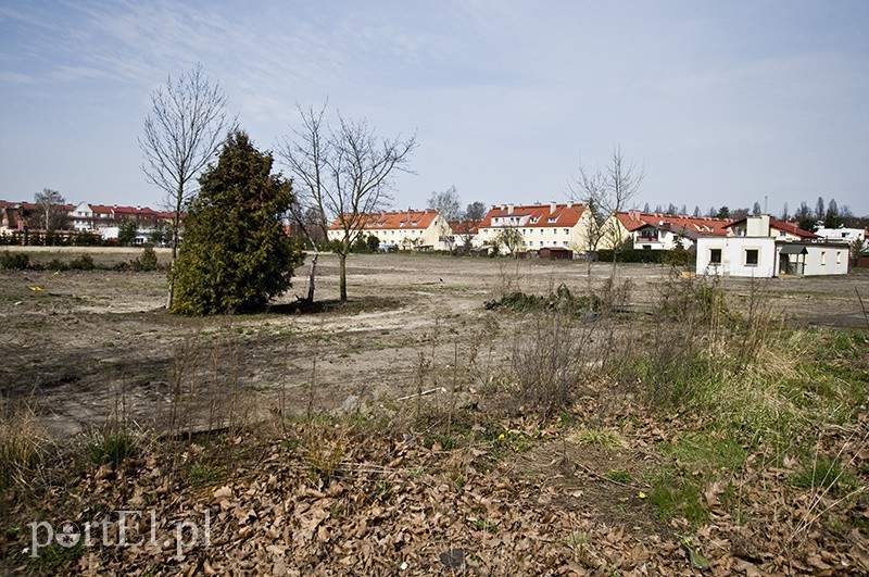 Elbląg, Działka przy ul. Sadowej ma powierzchnię 2,5 hektara