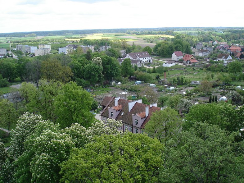 Elbląg, Co Warmiakom w duszy gra?