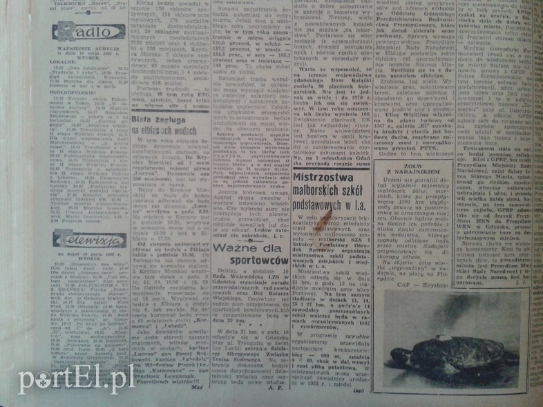Elbląg, Biała żegluga na elbląskich wodach Elbląg, Biała żegluga na elbląskich wodach