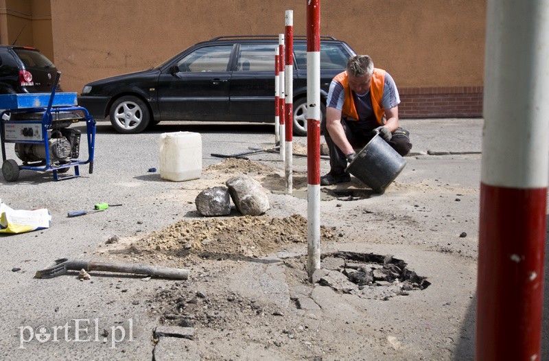Elbląg, Zaplecze ul. Hetmańskiej to teren o największym zagęszczeniu słupków na metr kwadratowy Elbląg, Zaplecze ul. Hetmańskiej to teren o największym zagęszczeniu słupków na metr kwadratowy