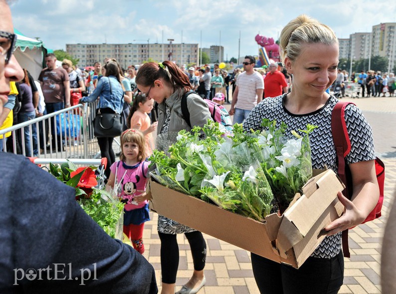 Elbląg, Dziś za posegregowane odpady można było otrzymać rośliny Elbląg, Dziś za posegregowane odpady można było otrzymać rośliny