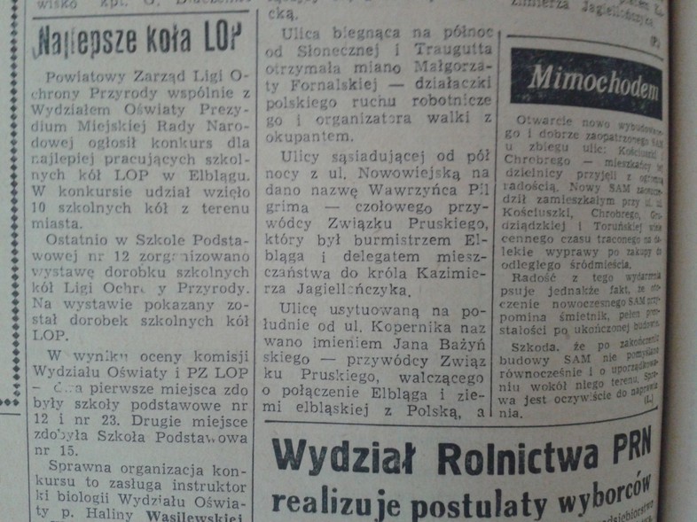 Elbląg, Mimochodem Elbląg, Mimochodem