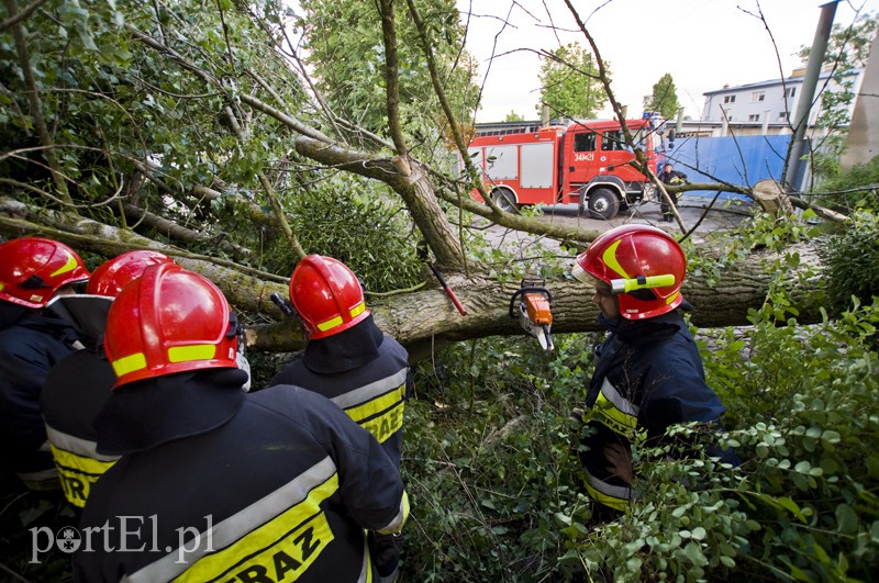 Elbląg, Strażacy usuwają powalone drzewo przy ul. Dojazdowej