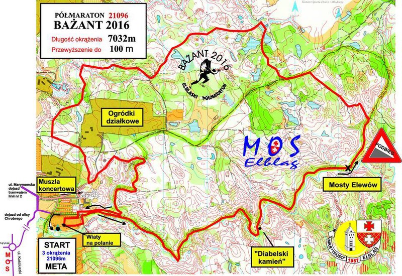 Elbląg, Dziś ruszają zapisy do Półmaratonu Bażant