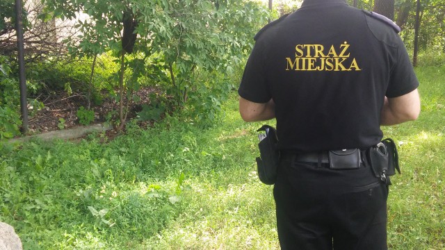 Elbląg, Pożyteczne, ale niebezpieczne Elbląg, Pożyteczne, ale niebezpieczne