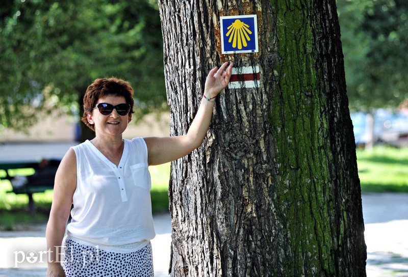 Elbląg, Tamara Frączkowska Elbląg, Tamara Frączkowska
