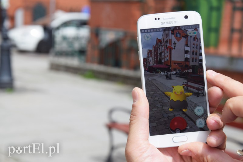 Elbląg, Pokemony są już w Elblągu Elbląg, Pokemony są już w Elblągu