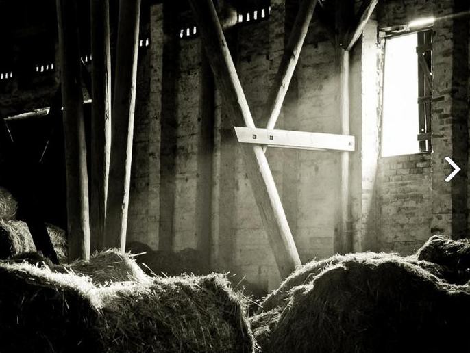 Dobre zdjęcia w tydzień