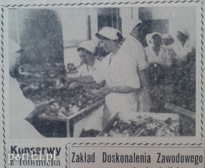 Elbląg, Konserwy z Tolkmicka Elbląg, Konserwy z Tolkmicka