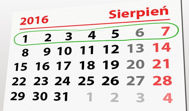 Elbląg, W tym tygodniu portEl poleca: „C’est la vie”, sztuki walki i zioła w bibliotece