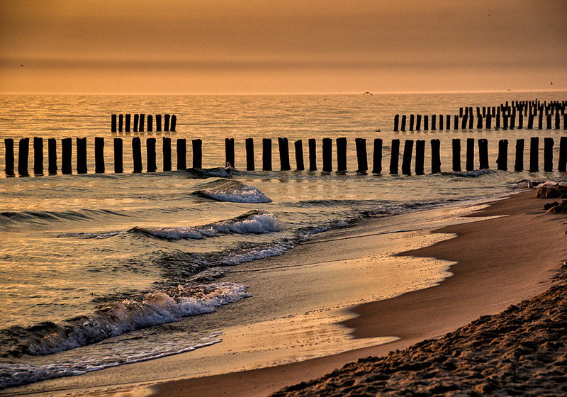 Elbląg, Kaszubskie inspiracje w bibliotece