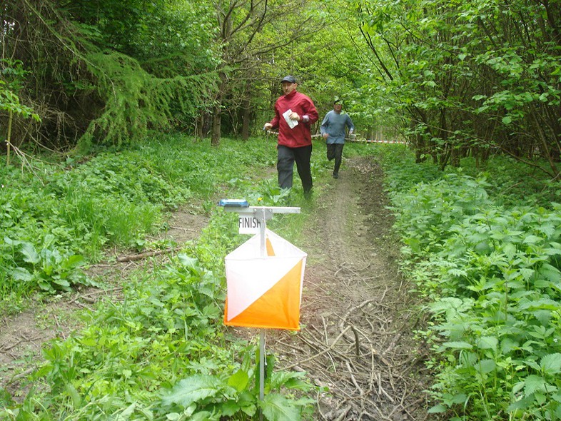 Elbląg, Jak biegać to tylko na orientację