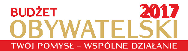 Elbląg, Budżet Obywatelski - głosowanie na półmetku Elbląg, Budżet Obywatelski - głosowanie na półmetku