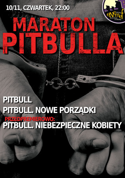 Elbląg, ENEMEF: Maraton Pitbulla - on wygrał zaproszenie