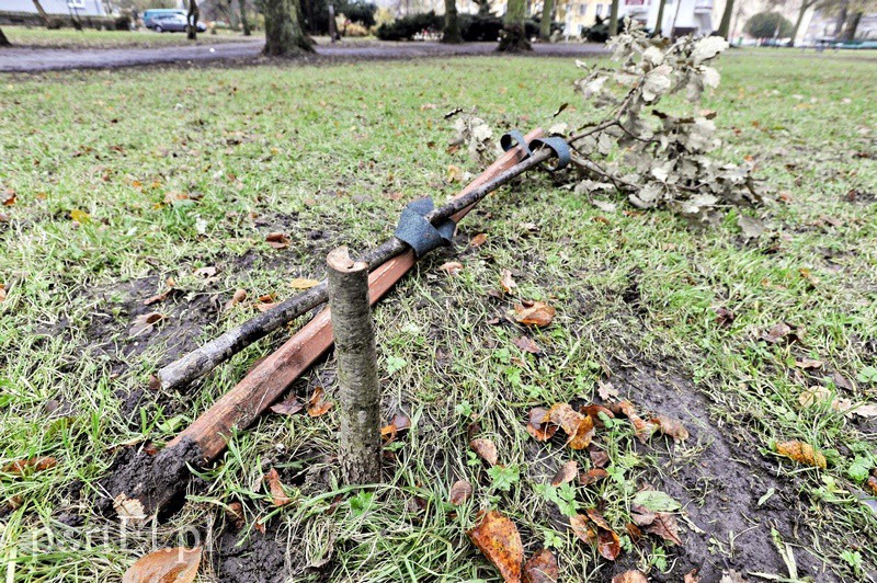 Elbląg, Komu przeszkadza symbol wolności?