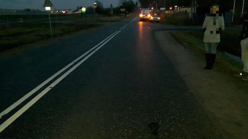 Elbląg, Wjechał w grupę pieszych Elbląg, Wjechał w grupę pieszych