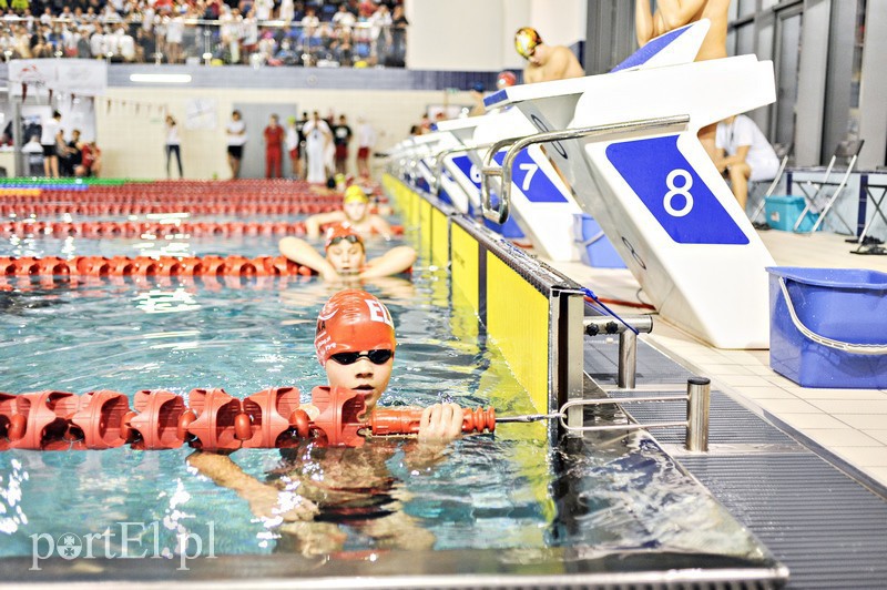 Elbląg, Pływacy z województwa rywalizują w Elblągu
