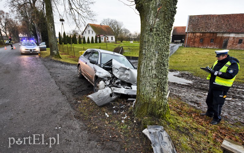 Elbląg, Chciał wyprzedzić, uderzył w drzewo