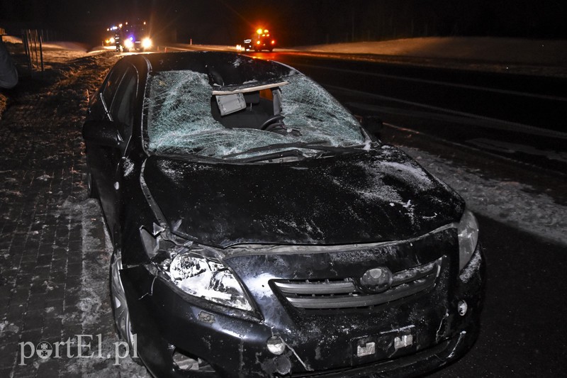 Elbląg, Trasa S22: Toyota i seat uderzyły w łosia