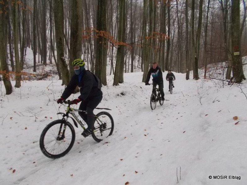 Elbląg, Przejechali rowerami po zaśnieżonej Bażantarni