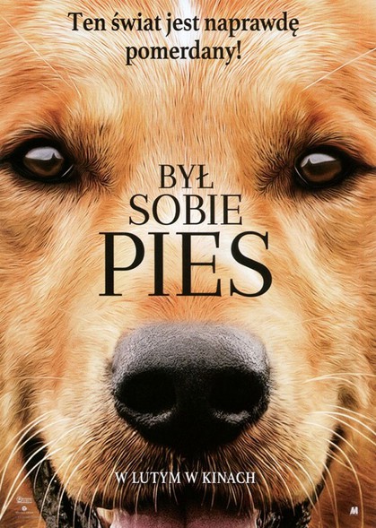Elbląg, „Był sobie pies” w kinach sieci Multikino Elbląg, „Był sobie pies” w kinach sieci Multikino