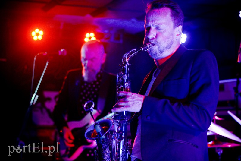 Elbląg, Mateusz Pospieszalski, Wojciech Waglewski, czyli 1/2 Voo Voo