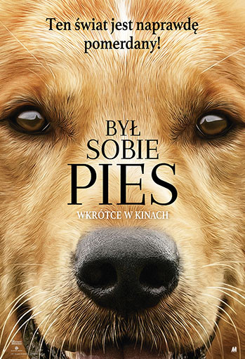 Był sobie pies w kinie Światowid Był sobie pies w kinie Światowid