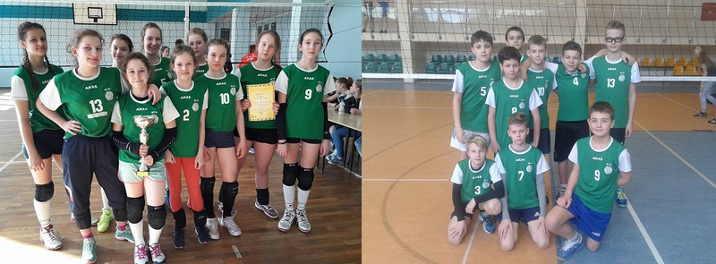 Elbląg, Sukcesy SP 19 w siatkówce
