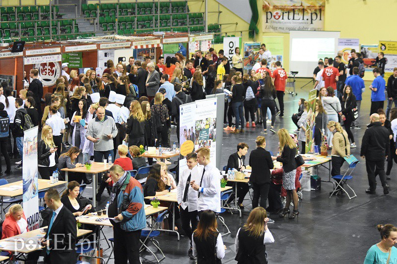 Elbląg, Targi Pracy i Edukacji odbywają się w hali sportowo-widowiskowej przy al. Grunwaldzkiej