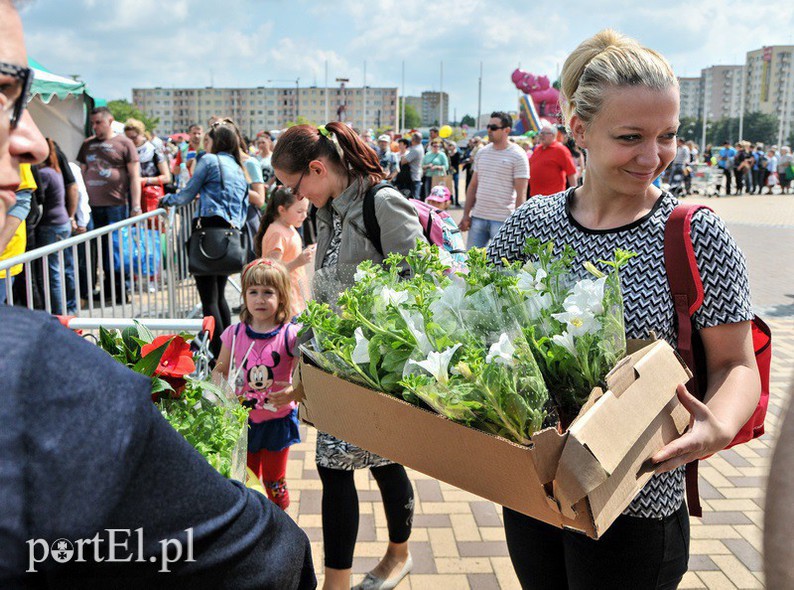 Elbląg, Elblążanie od 10 lat wymieniają odpady na zieleń