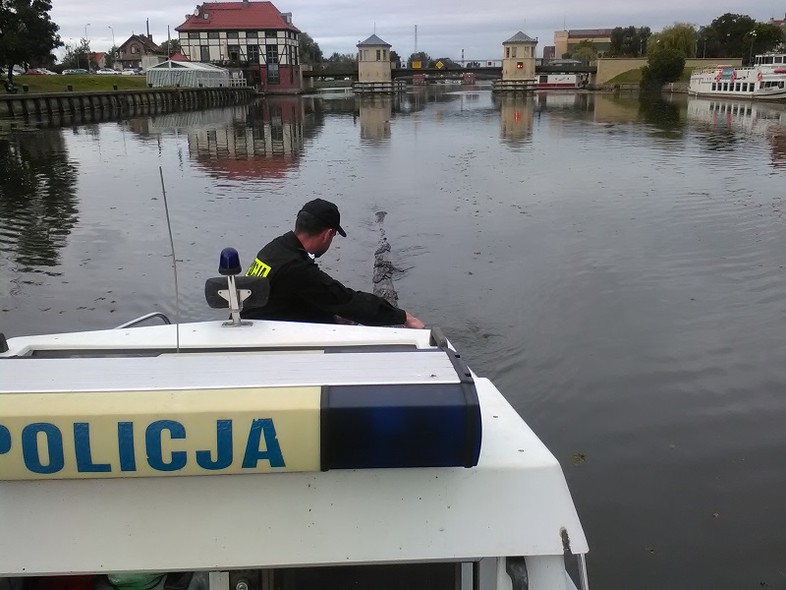 Elbląg, Sezon wodny już się rozpoczął Elbląg, Sezon wodny już się rozpoczął