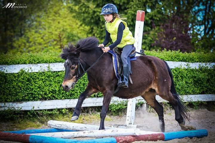 Elbląg, Pony Cup już w niedzielę