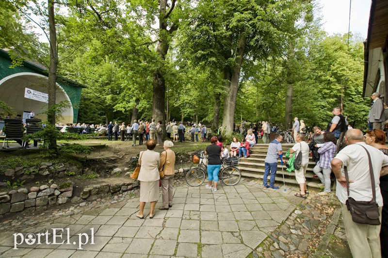 Elbląg, Kultura z muszlą w tle