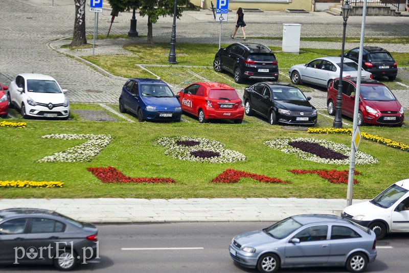 Elbląg, Kwiecisty napis przy ul. Rycerskiej przypomina o rocznicy miasta Elbląg, Kwiecisty napis przy ul. Rycerskiej przypomina o rocznicy miasta